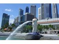 Đắt đỏ như mua ôtô ở Singapore