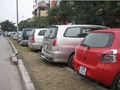 Thuê xe tự lái dịp Tết có giá "trên trời"