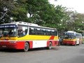 Thủ đô sẽ đảm bảo đủ số lượng xe bú phục vụ tết 2013