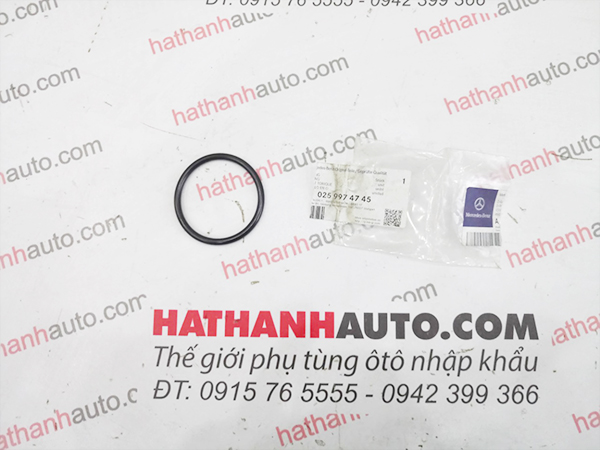 Gioăng turbo xe Mercedes M276 - 0259974745 - A0259974745