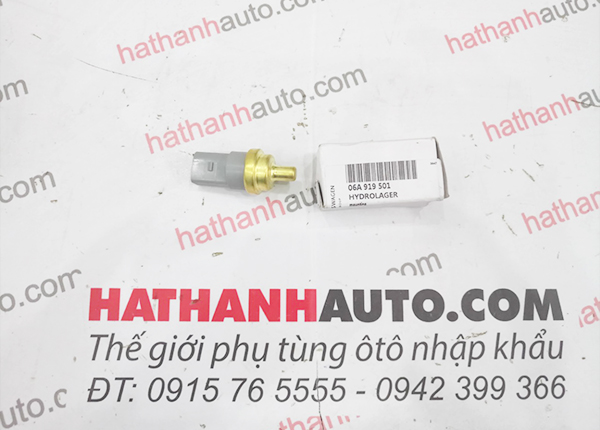 Cảm biến nhiệt độ nước xe Audi A3, Q3, A4, A5, A6, Q5, Q7-06A919501