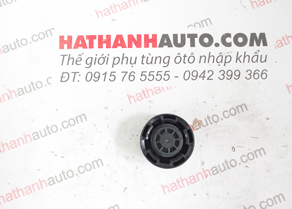 Nắp bình nước phụ xe BMW 1 Series F20, F21 - 17117639024