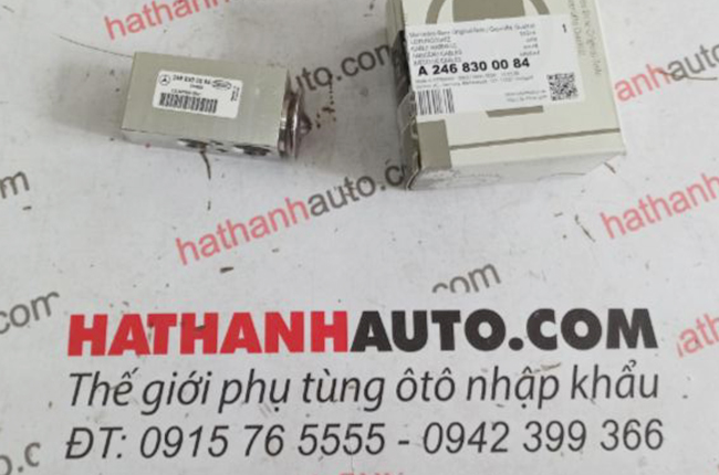 Van tiết lưu xe Mercedes A Class, B Class - 2468300084